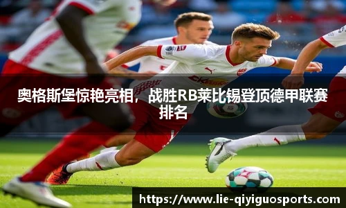 奇异果体育官网入口